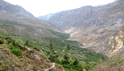 Kolca Valley