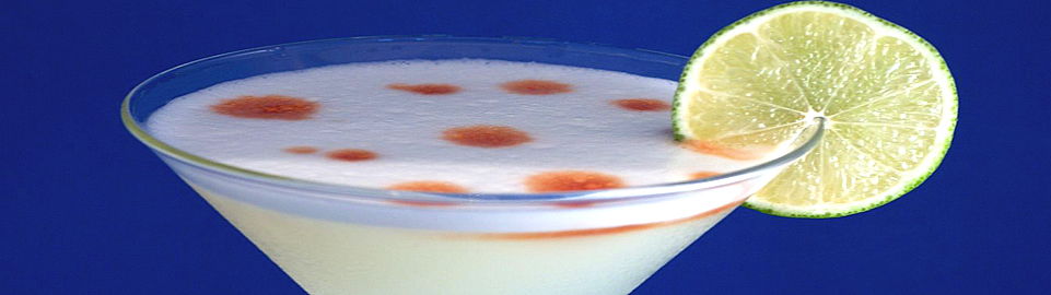 Peruvian Pisco Sour