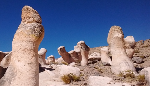 Puruña Rock Forest Tour