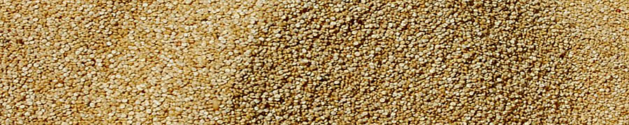 Quinua - Andean Rice