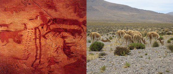 Sumbay Paleolithic Picture in Peru - Pampas Cañahuas Reeserve in Arequipa