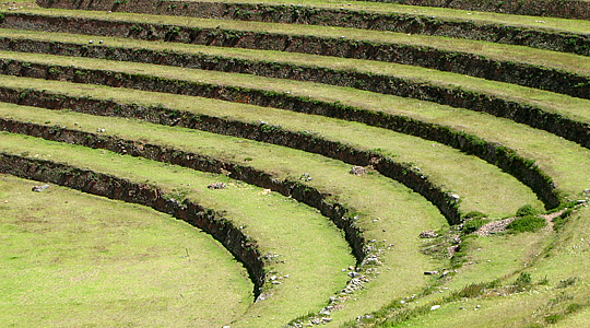 Tipon Agrilculture Terraces - Cuzco