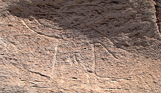 Alien Figure At Toro Muerto Petroglyphs Majes Arequipa
