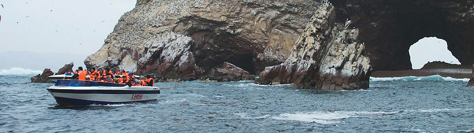 Boat Tour To Ballestas Islands