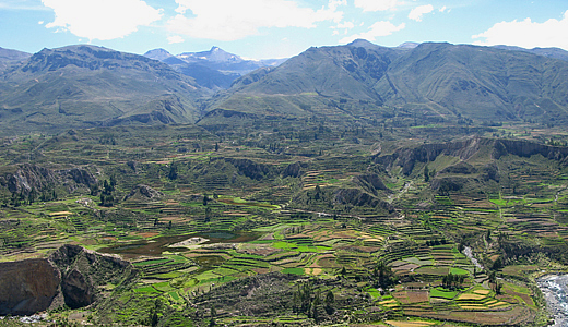 Tours In The Colca Valley