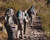 Trekking Tours In Peru