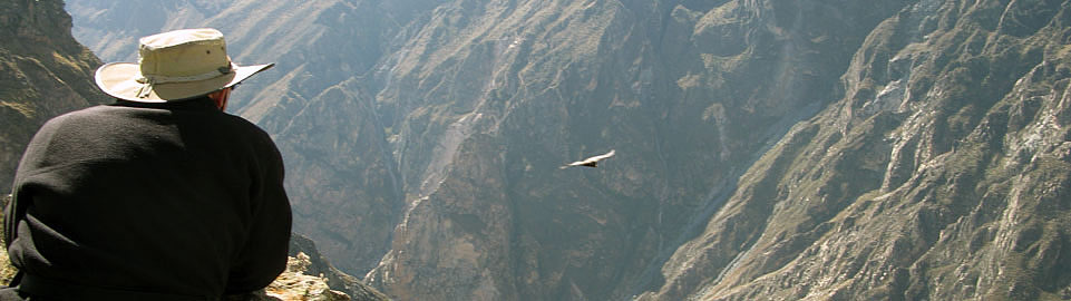 Flight of the Andean Condors