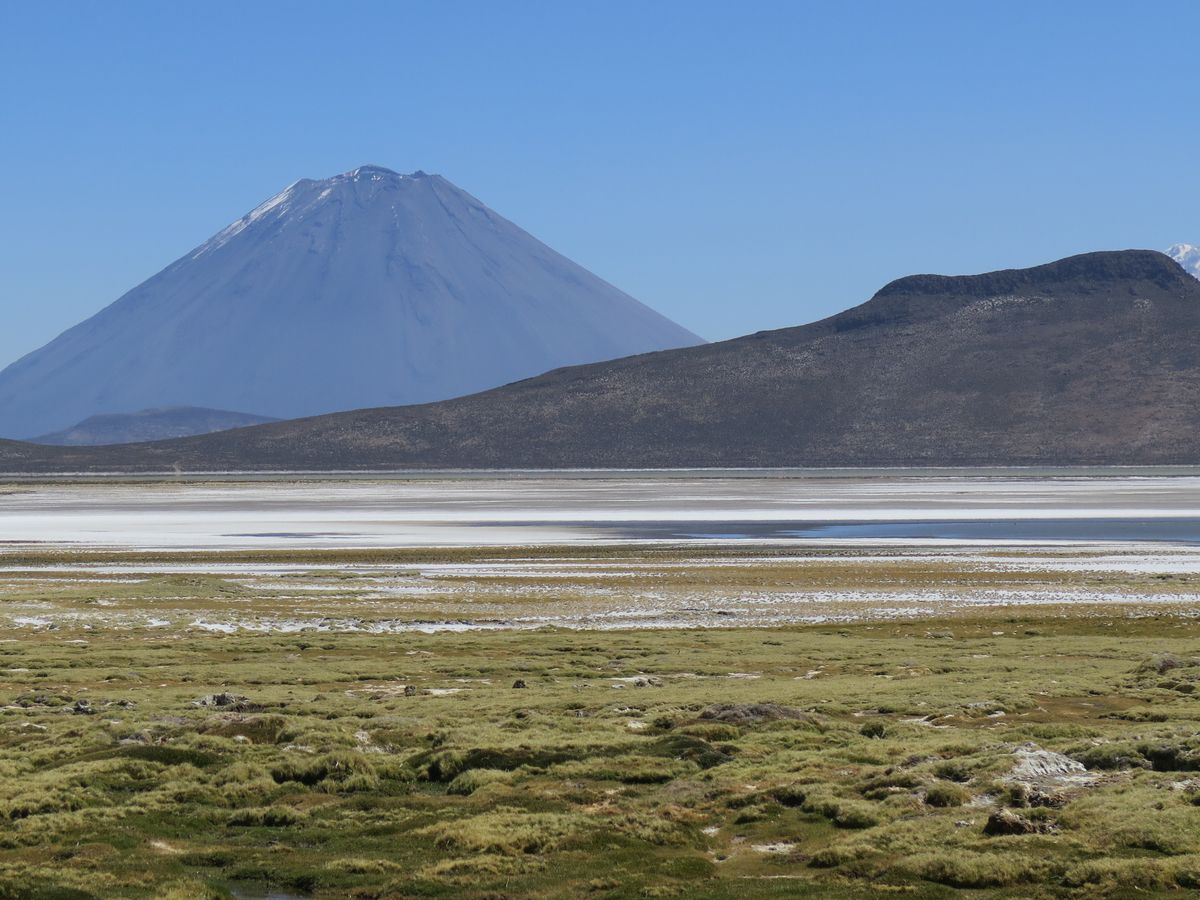 2DAY TRIP TO LAGUNA DE SALINAS AND COLCA CANYON