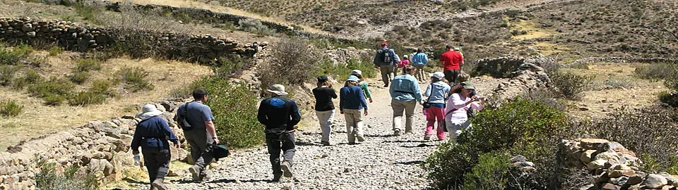 COLCA CANYON TREK & LLAMA EXPEDITIONS